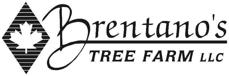 Brentano's Tree Farm Logo